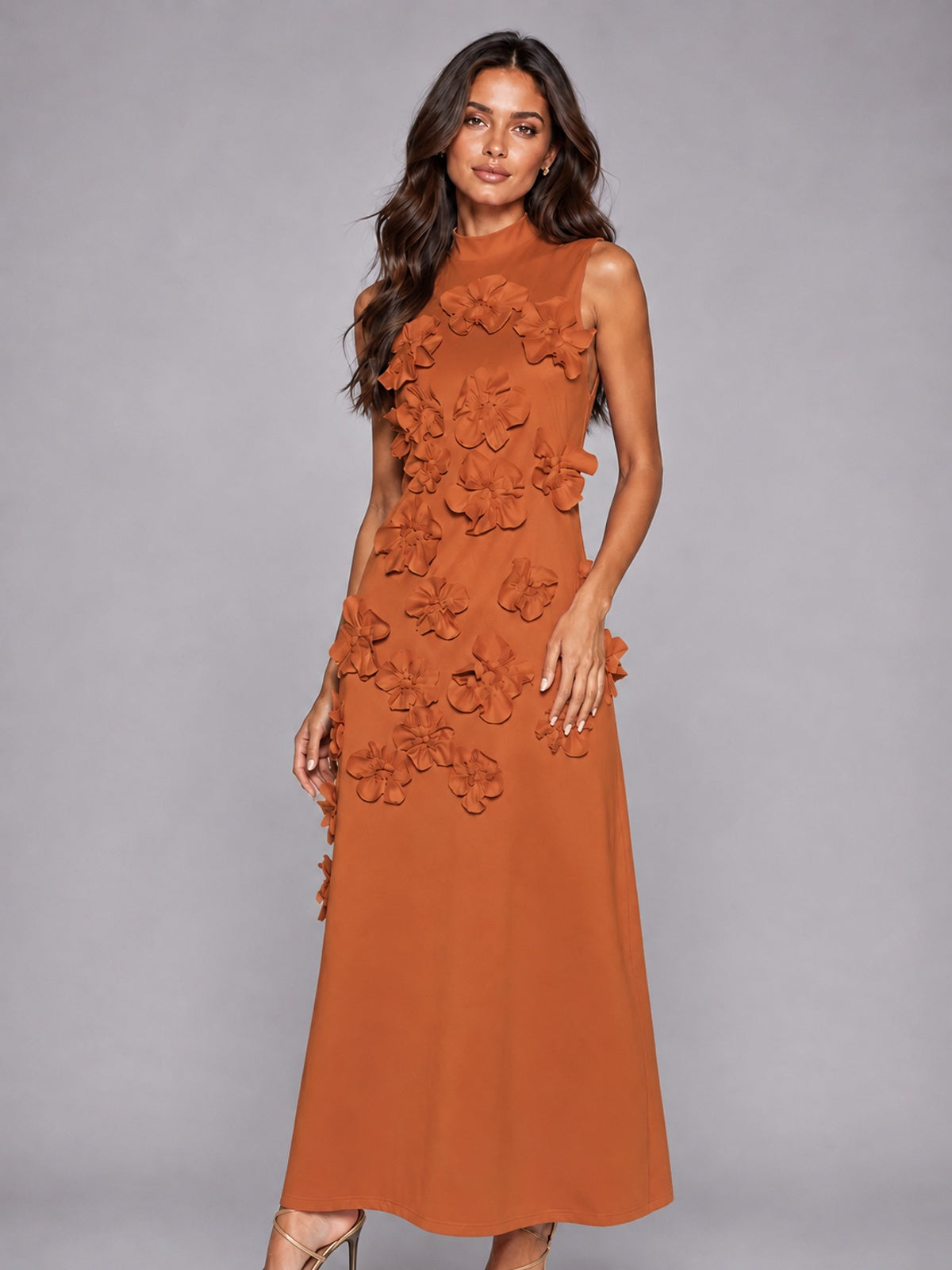 3D Floral Applique High Neck Prom Maxi Dress