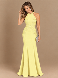 Halter Neckline Lace Appliques Mother of The Bride Dresses