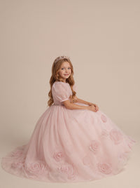 Blush Pink 3D Floral Tulle Flower Girl Dress with Puff Sleeves