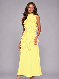 3D Floral Applique High Neck Prom Maxi Dress