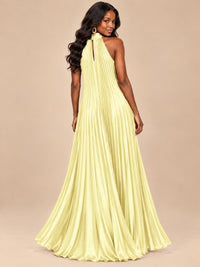 Rust Orange Pleated Halter Neck Maxi Dress