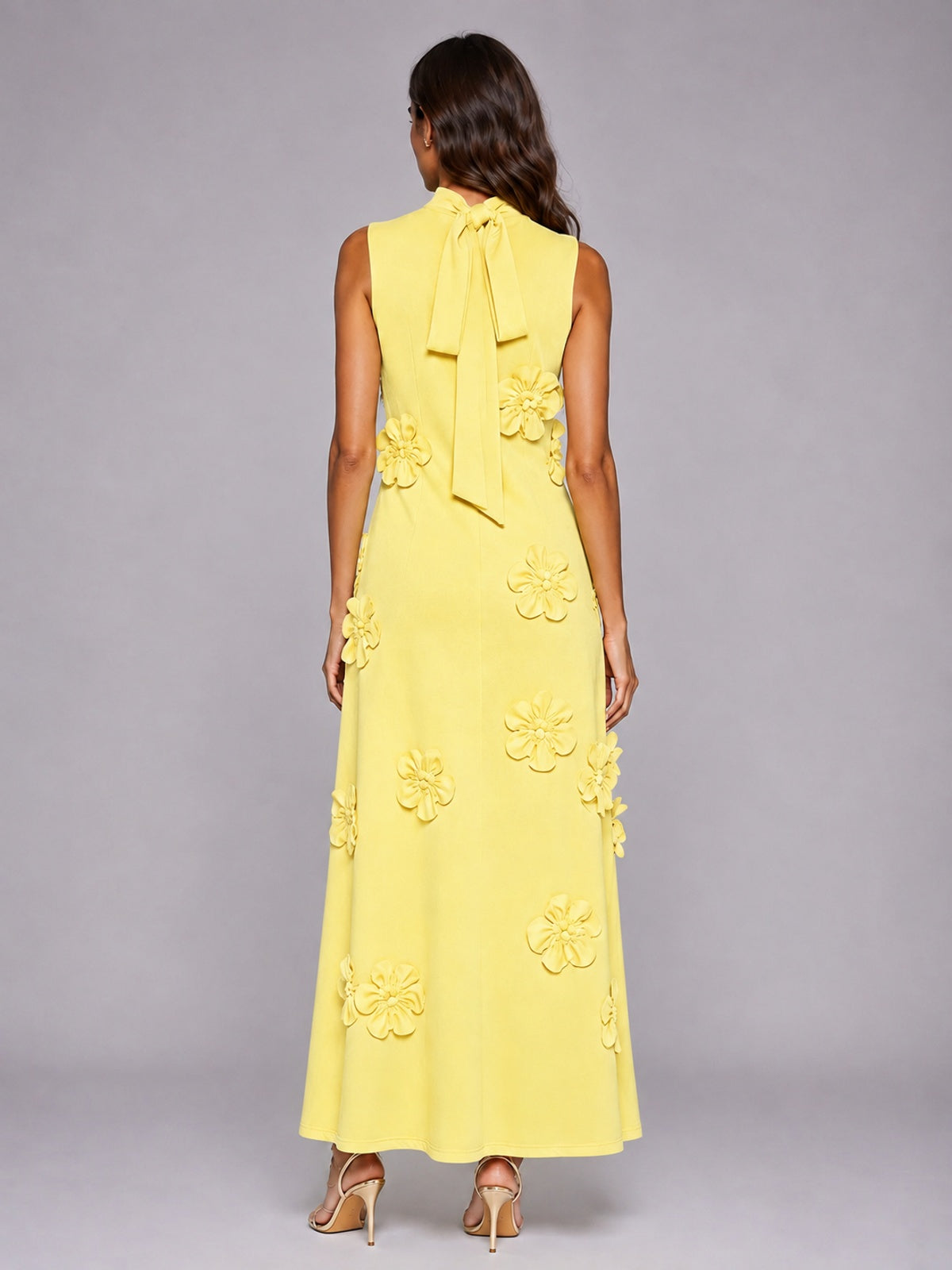 3D Floral Applique High Neck Prom Maxi Dress