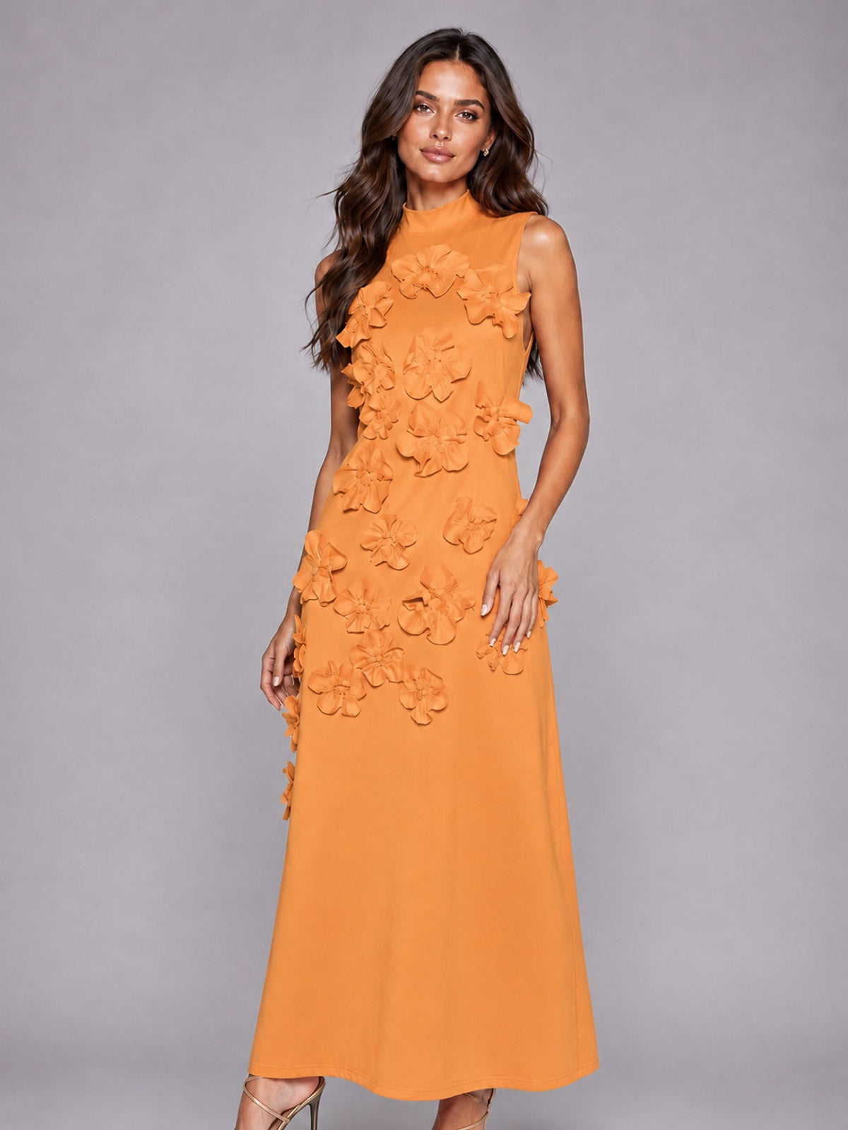 3D Floral Applique High Neck Prom Maxi Dress
