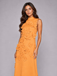 3D Floral Applique High Neck Prom Maxi Dress