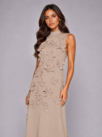 3D Floral Applique High Neck Prom Maxi Dress