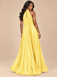 Rust Orange Pleated Halter Neck Maxi Dress